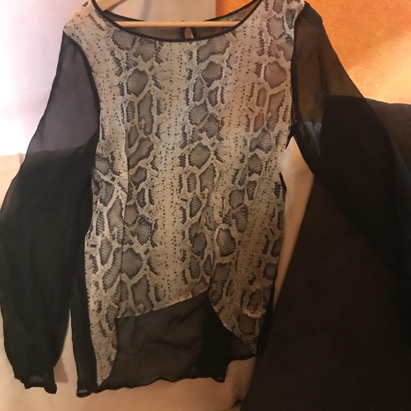 Top SP - Picture 2 of 3